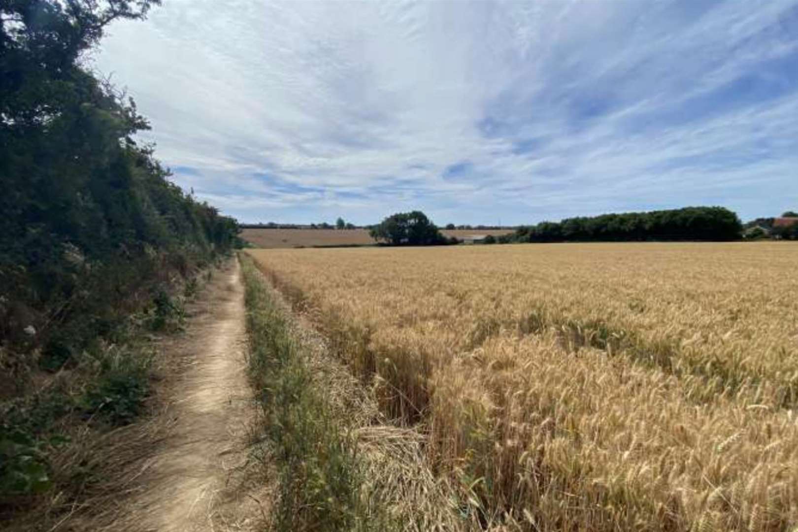 Forty homes have been proposed for farmland in East Langdon. Picture: Gladman Developments