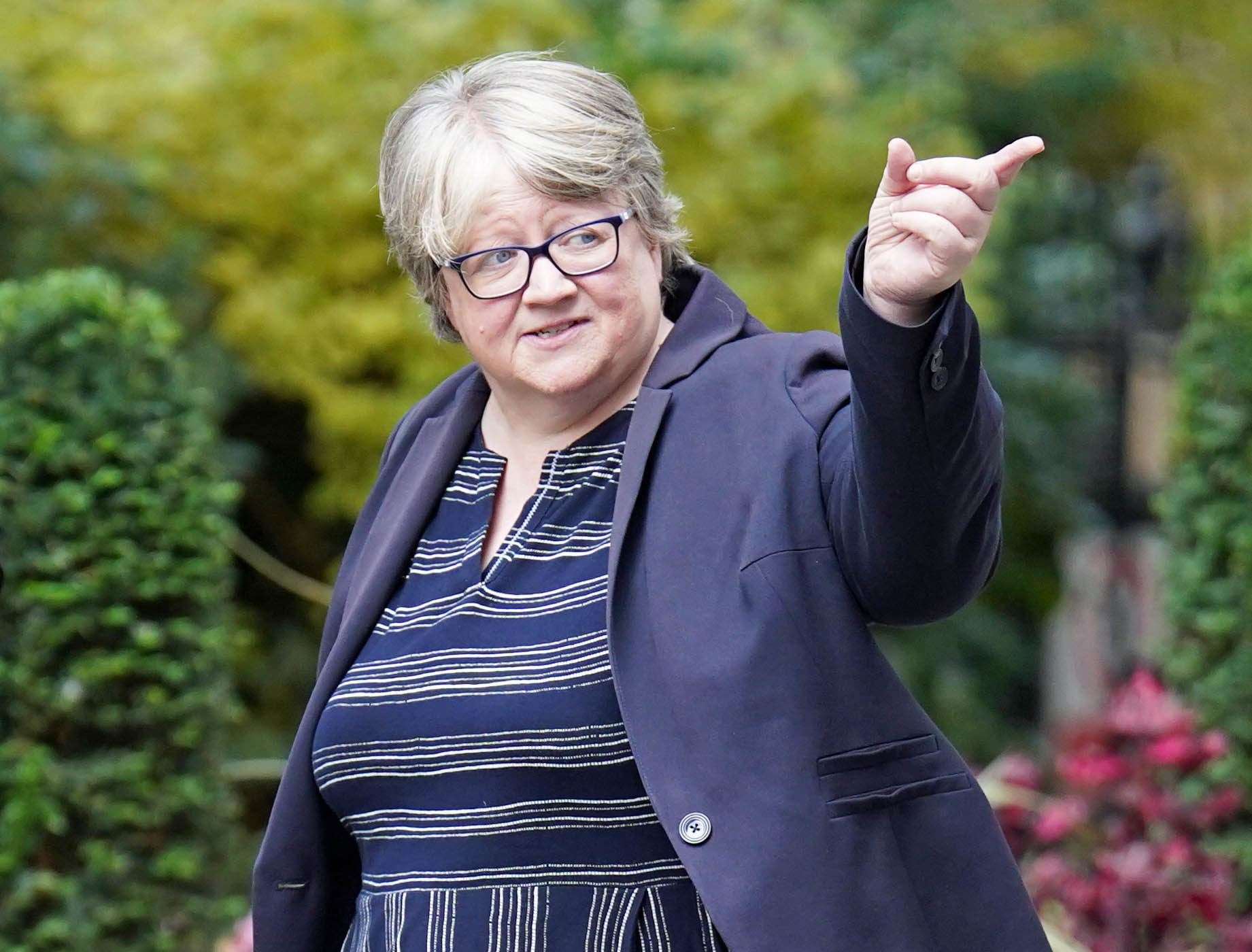 Deputy Prime Minister Therese Coffey will oversee the cabinet’s Home Affairs Committee (James Manning/PA)