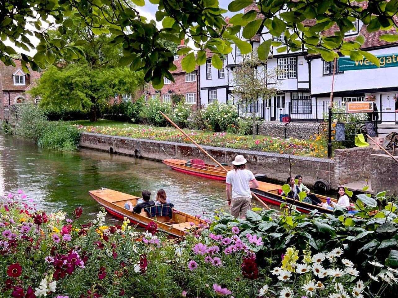 The scenic river Stour in Canterbury is being celebrated by Riverfest. Picture: Ralph Lombart