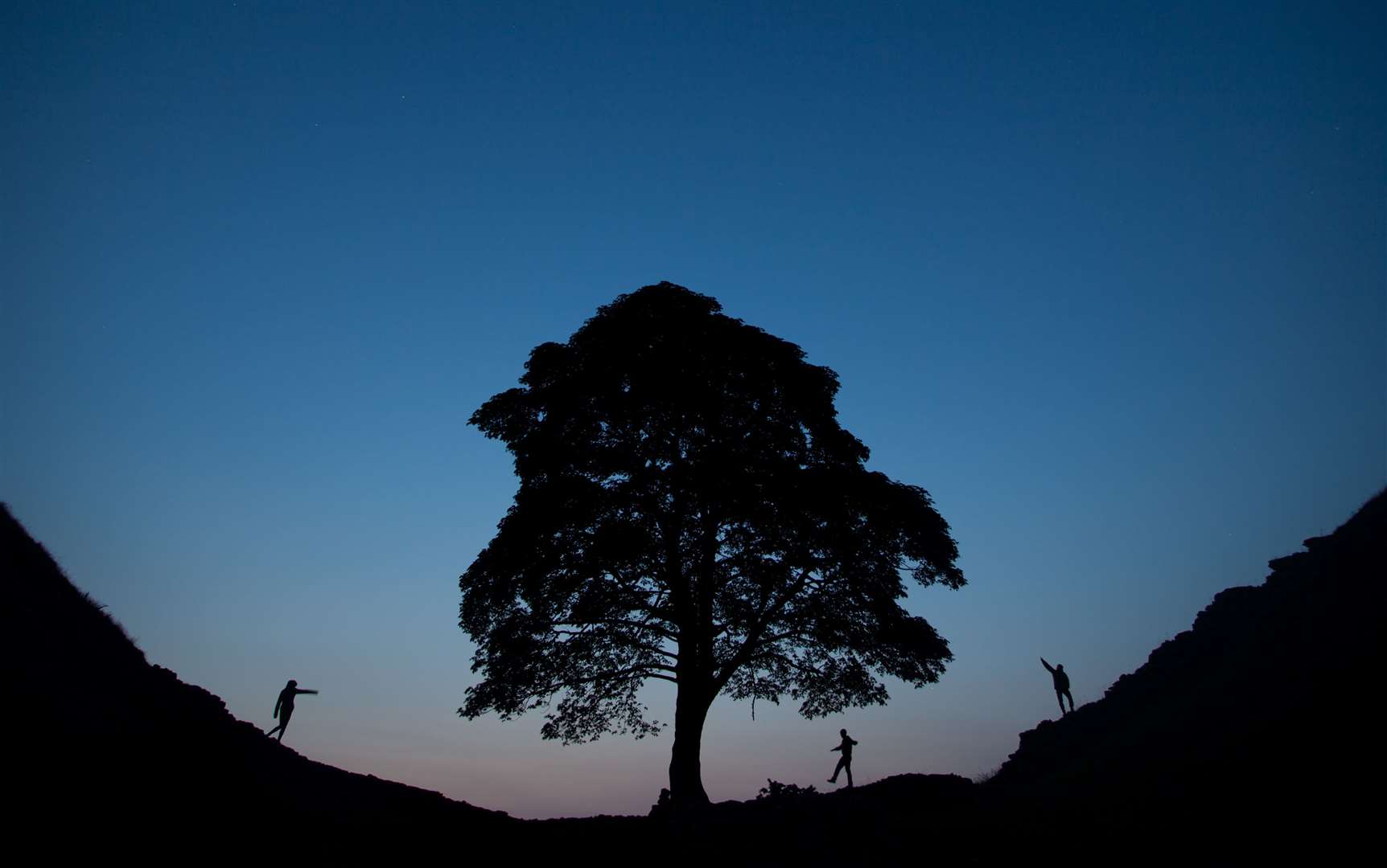 Much-photographed and painted, the lone sycamore is considered to be one of the most famous trees in the world and an emblem for the North East of England (Tom White/PA)