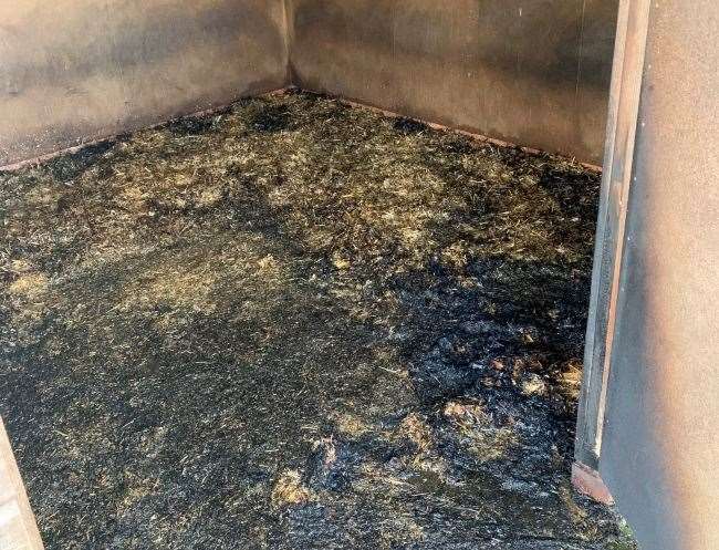 A firework was thrown into a stables in Maidstone, killing one goat and seriously injuring another