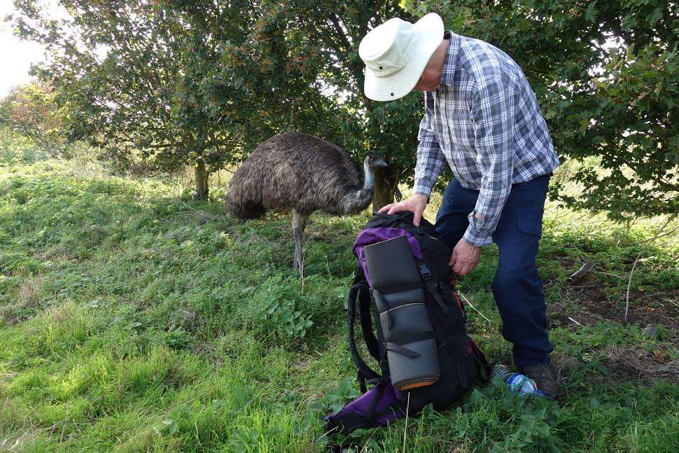 Persistent emu Jimmy with Ted Spiller