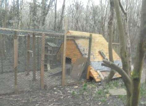 The chicken coop erected on the protected woodland site. Photo: Gravesham council