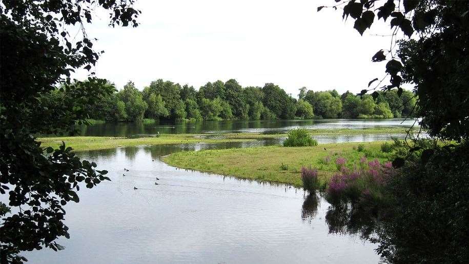 The Sevenoaks Wildlife Reserve reserve covers 73 hectares