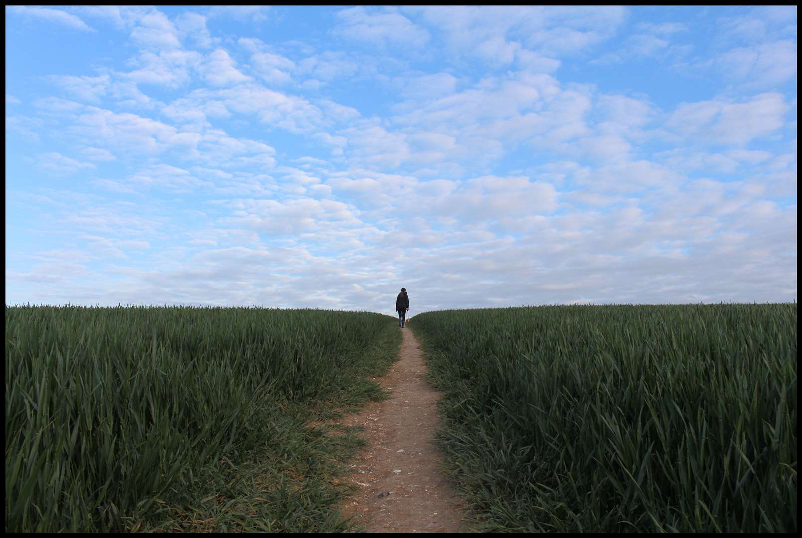 Another one of Jon's scenic shots from Cobham.