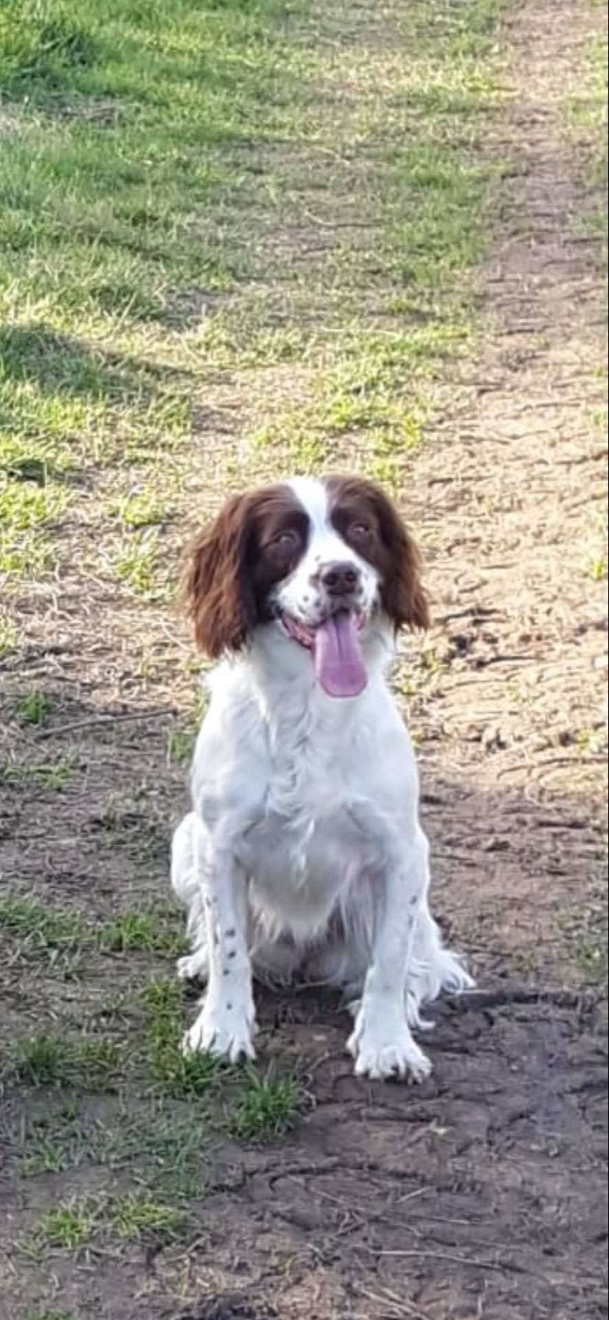 Dionne Grant from Sheppey is warning pet owners to be vigilant after her dog had a fishing hook stuck in its mouth while on a beach walk