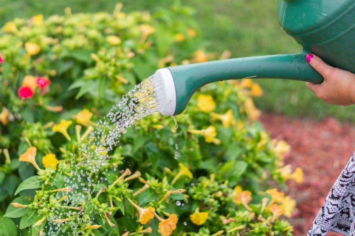 Hand held containers, such as watering cans, are allowed. Image: Stock photo.