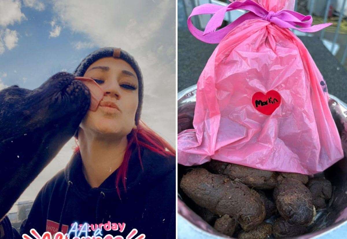 Dog Rescue Names Poo After Ex Partners in Valentines Campaign