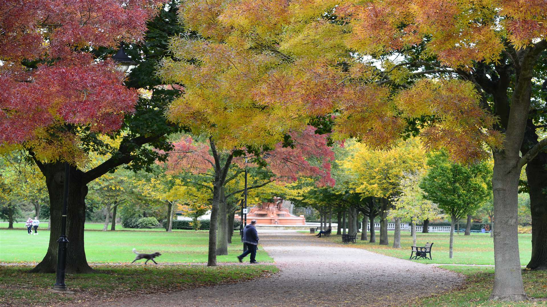 The robbery happened in Victoria Park, Ashford