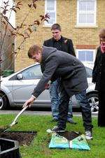 Matthew Holkham adds soil to the tree site.