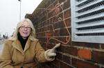 Cathy Streeter with her cows artwork