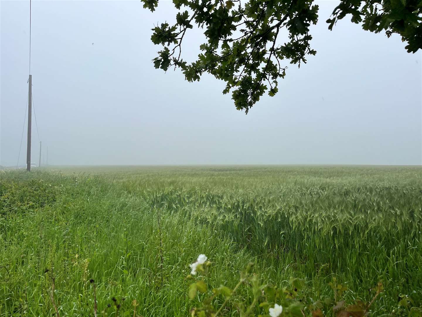 Plans for a solar farm in Court-at-Street in Lympne which would be linked to Otterpool Park are still being explored by Folkestone and Hythe District Council