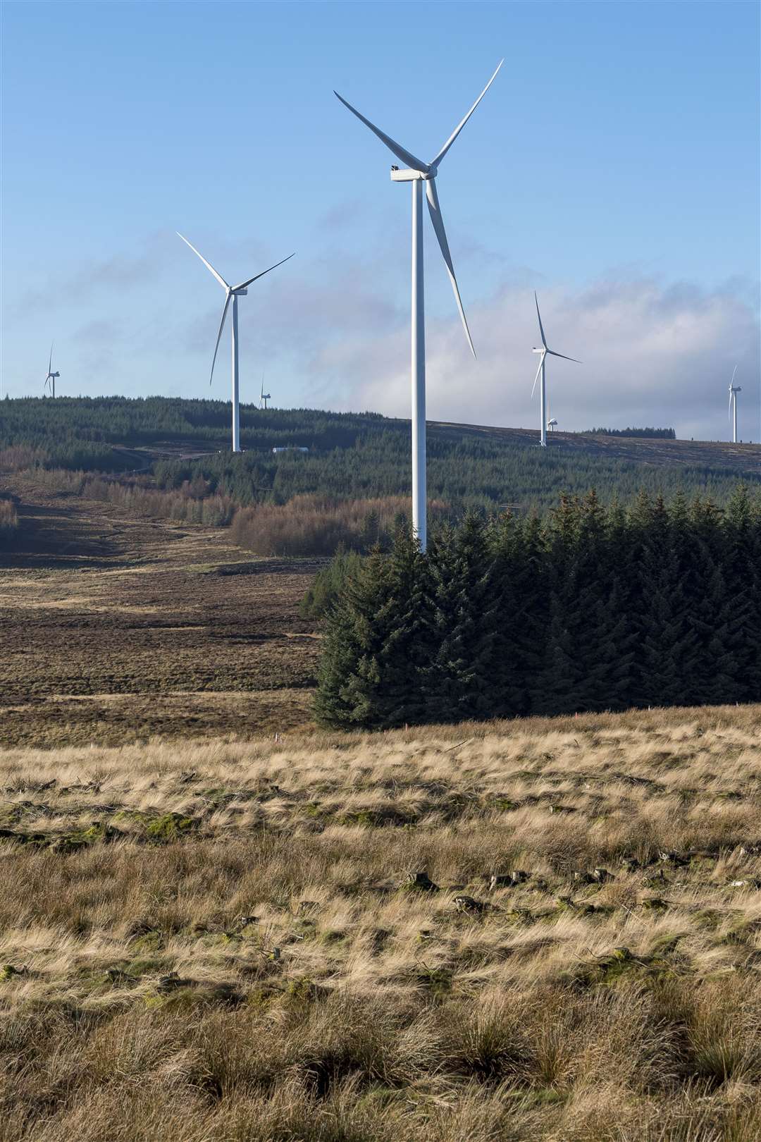 The Kype Muir wind farm extension will have eight of the 200-metre turbines (Banks Renewables/Ian Georgeson/PA)