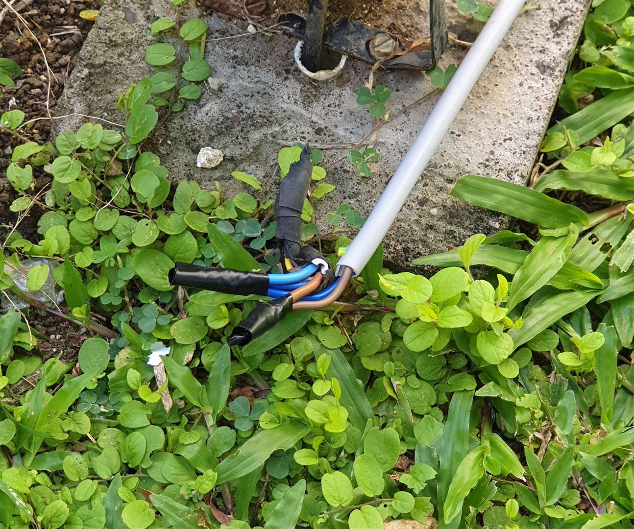 The couple were shocked to see wiring trailing across grass which is frequently saturated with rain. Pic: Karl Lewis-Law