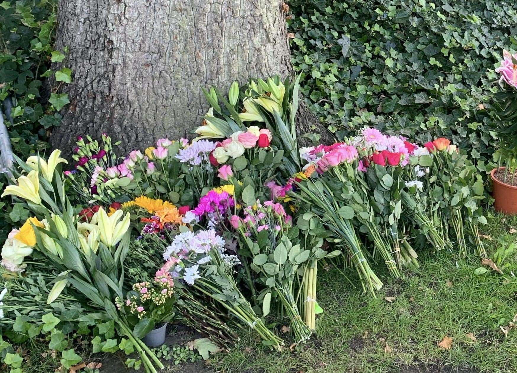 Flowers left against a tree in Canterbury's Dane John gardens