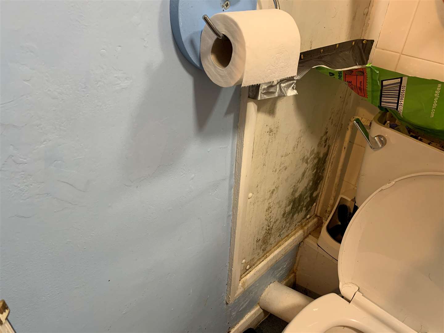 Mould is growing on the walls of Rachel and Robert Wilsdon's Canterbury flat