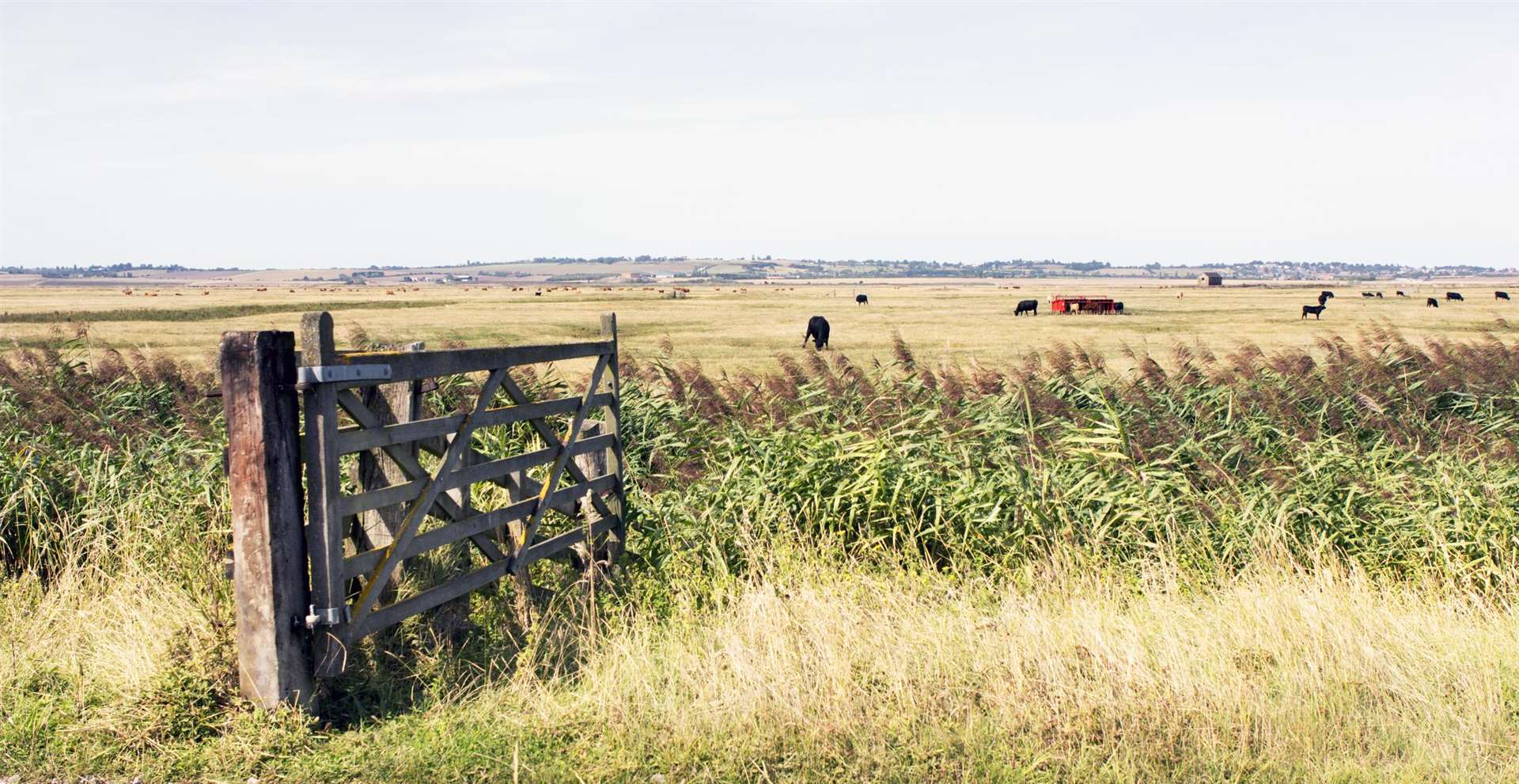 Too many rural areas in the county suffer from slow speeds