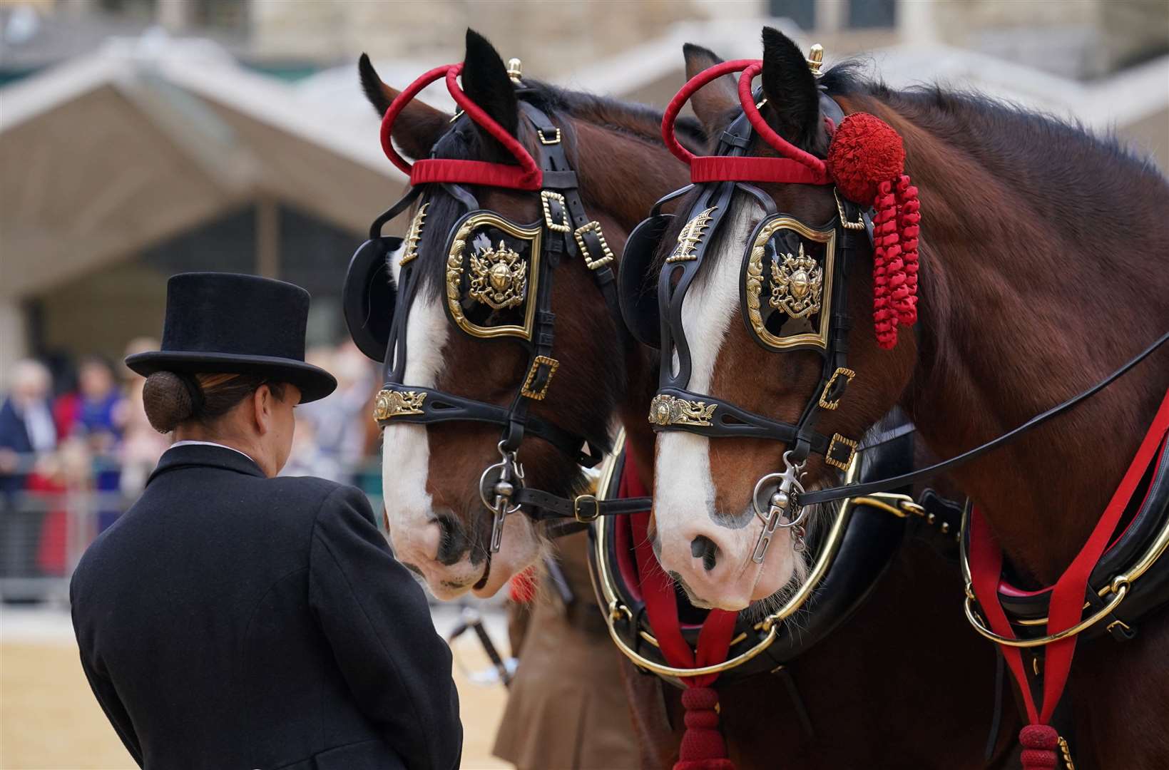 A groom tends to horses outside Guildhall in London (Jonathan Brady/PA)