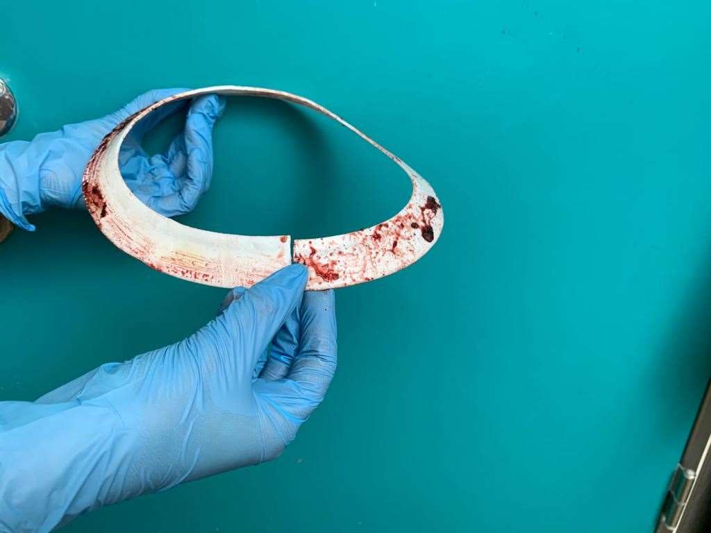 The white disc, thought to be a component used in large scale pipework, has been cut from Mrs Vicar (RSPCA/PA)