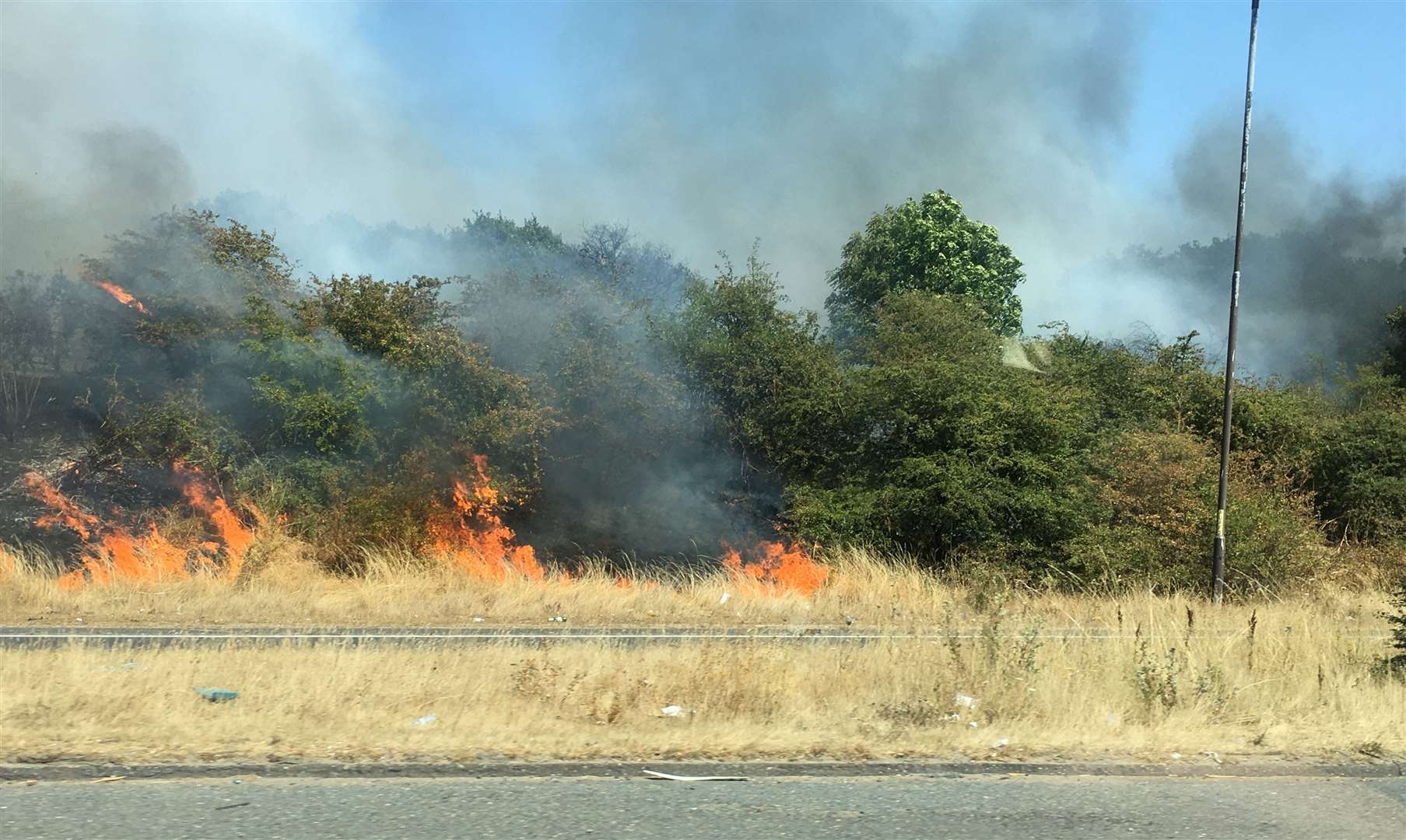 A bush fire by the A2 near Dartford. Images: Sue Pelling