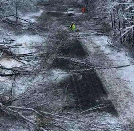 Fallen trees completely block Walderslade Woods Road. Pic from Paul Burch. (6927514)