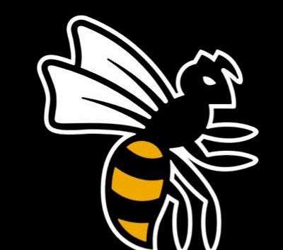 Wasps logo