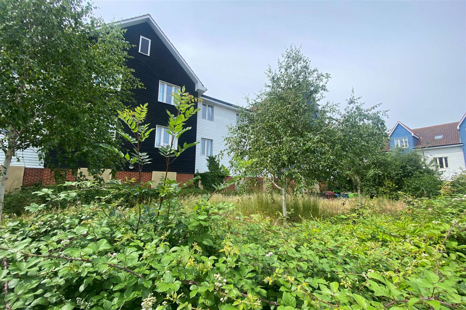 The garden of the care home has become overgrown in the years since it became vacant