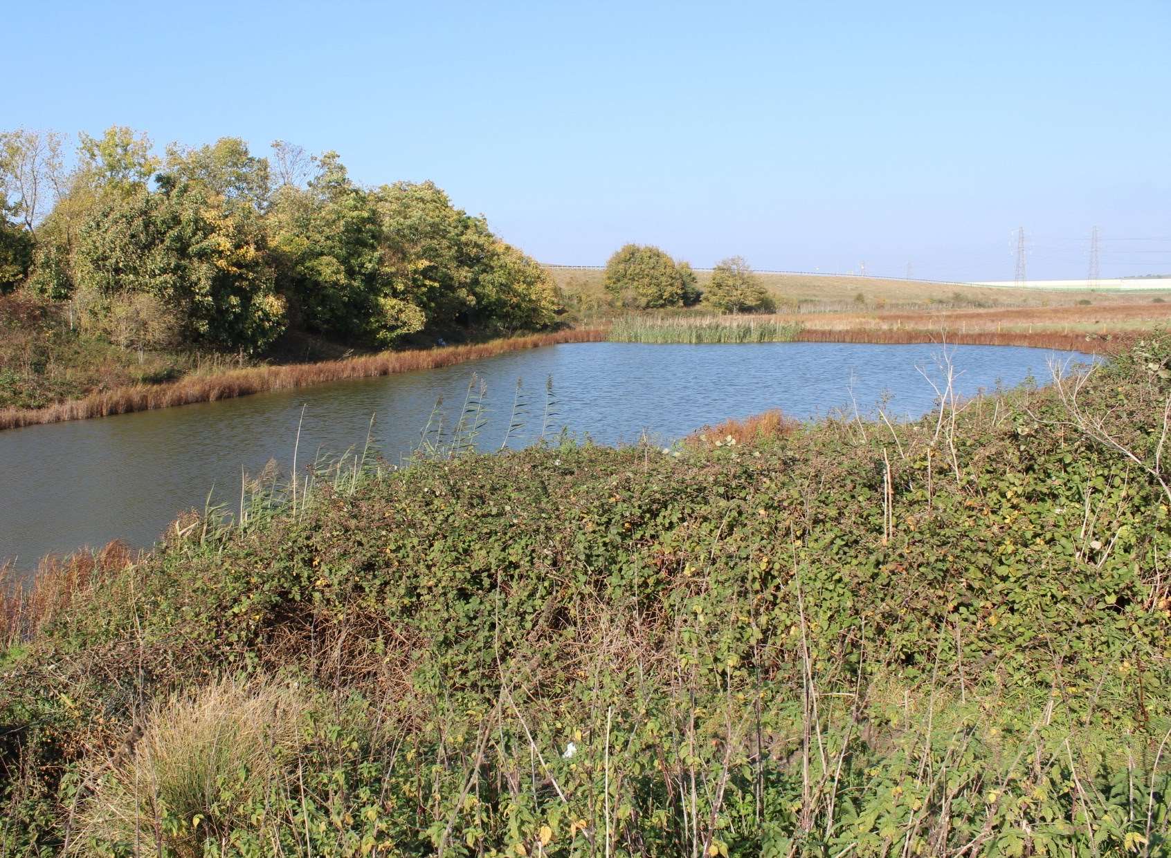 It includes two fishing lakes, a reed pond and a Second World War pillbox