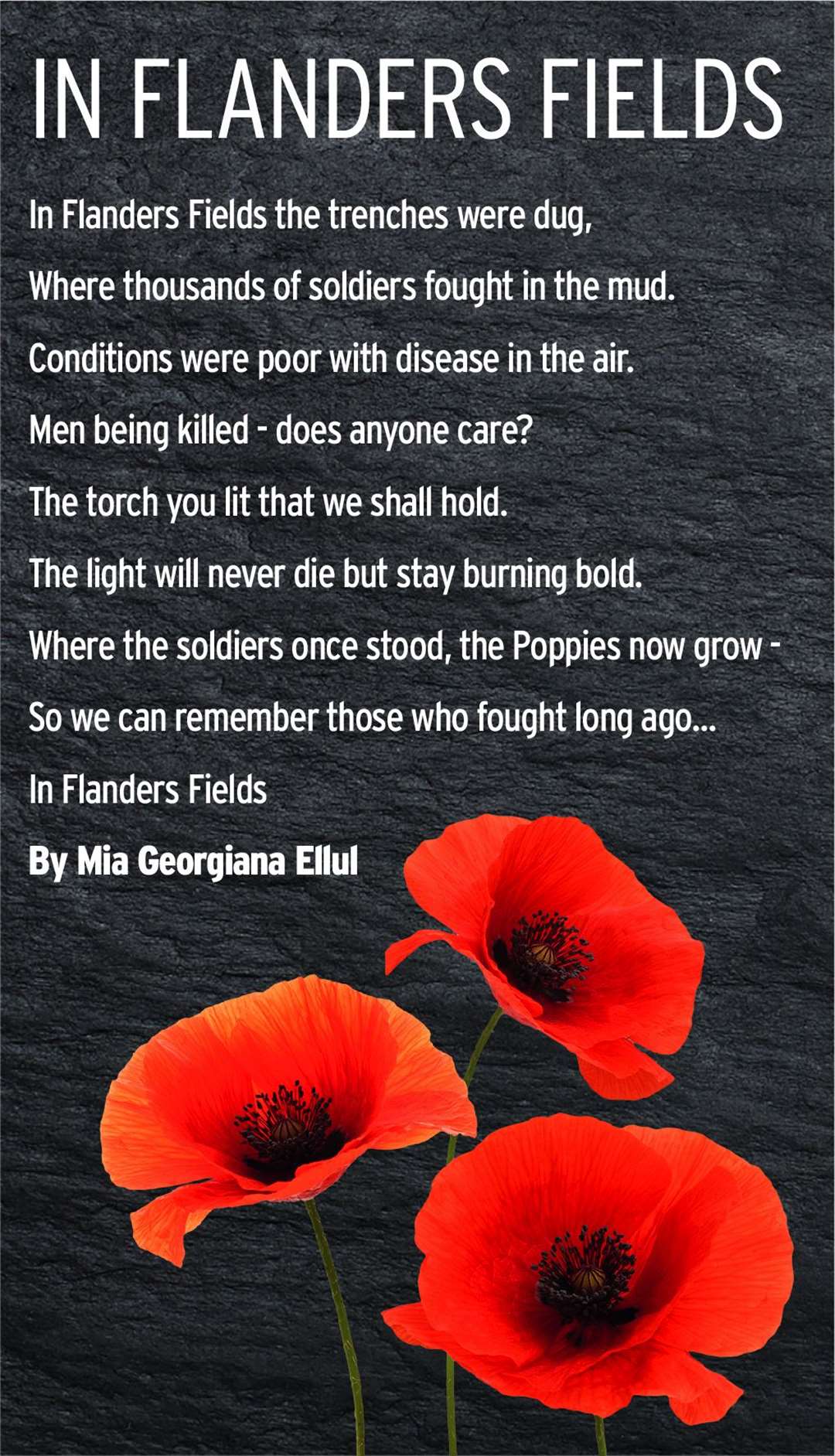 The Remembrance themed poem by Mia Ellul,10