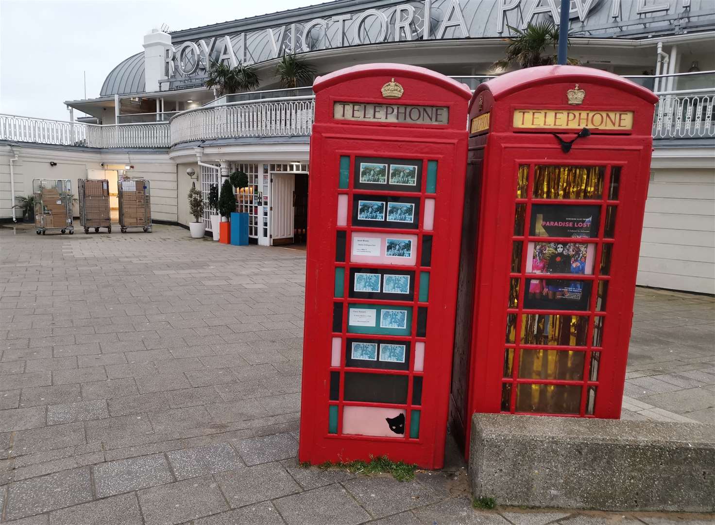 A cat on a telephone box outside Royal Victoria Pavilion, Ramsgate