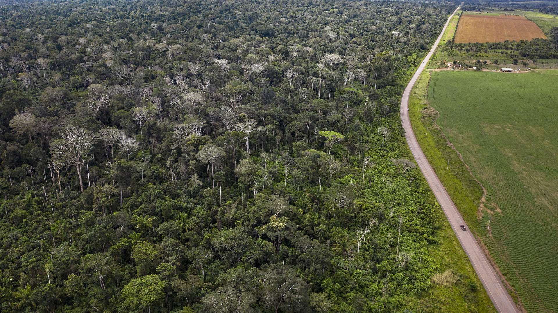 Drone images of burned forests in the Brazilian state of Para (Marizilda Cruppe/Rede Amazonia Sustentavel)