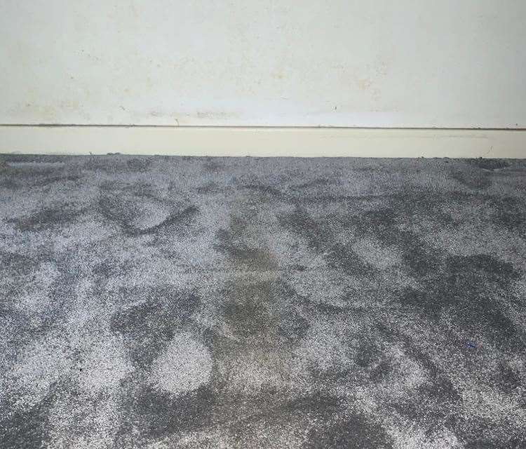 Mould previously damaged the carpets and walls