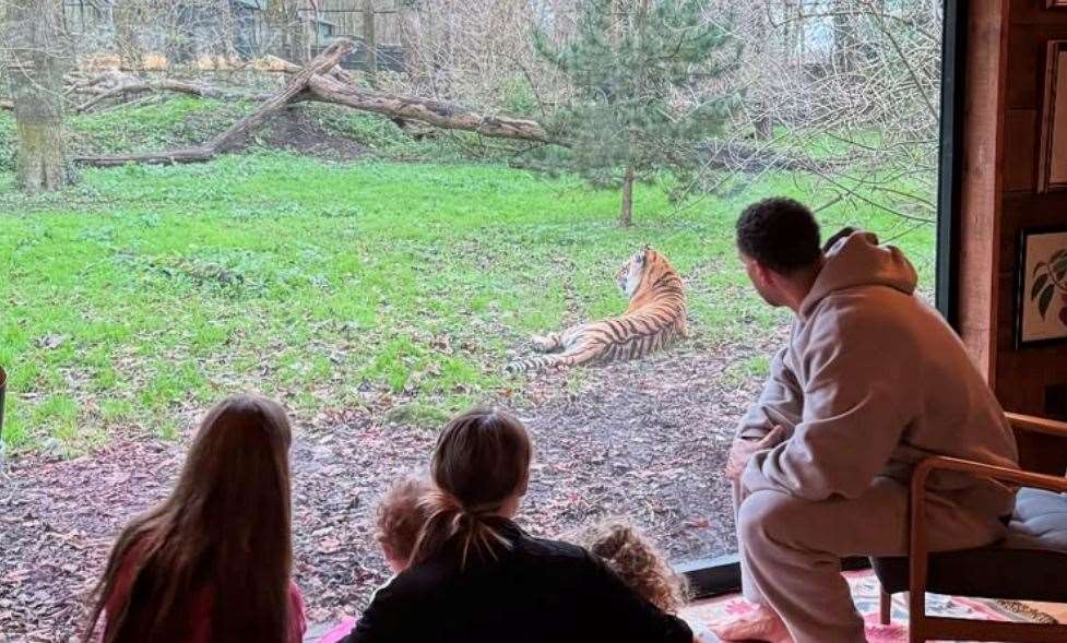 Rio Ferdinand and his family enjoyed a visit to Port Lympne. Picture: xkateferdinand/Instagram