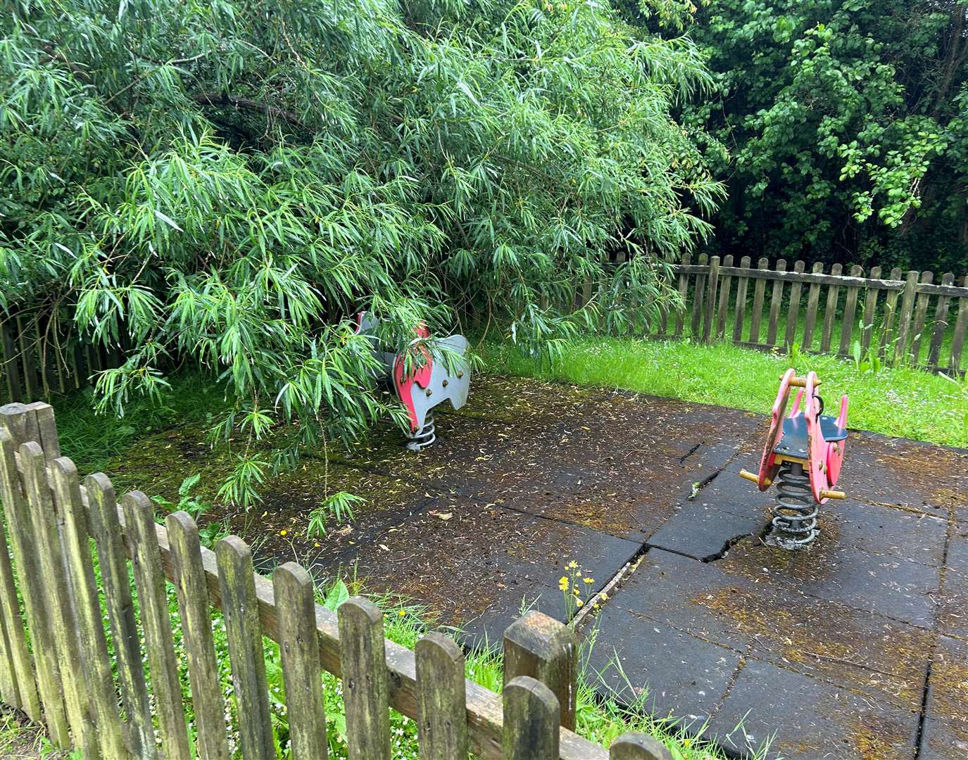 Foliage has swallowed up play equipment at the closed play area at The Oaze in Whitstable
