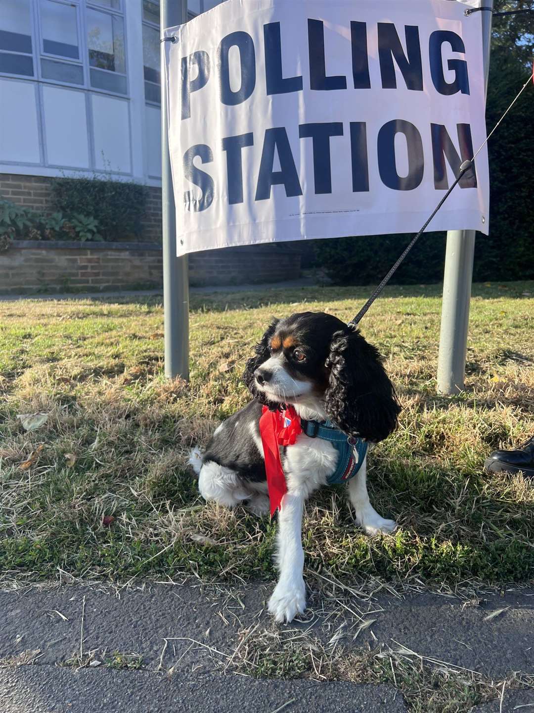 Mike Birtwistle’s dog Reggie outside a polling station (Mike Birtwistle/PA)