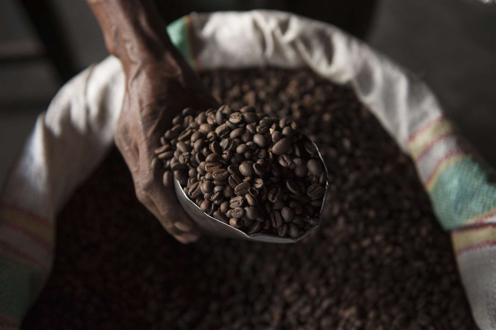 Arabica coffee beans make up 60% of global coffee production (Jurgen Freund/WWF/PA)