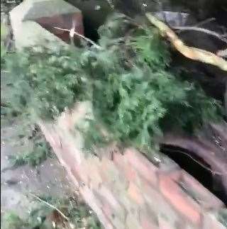 Tree damage on the A2 at Newington near Sittingbourne