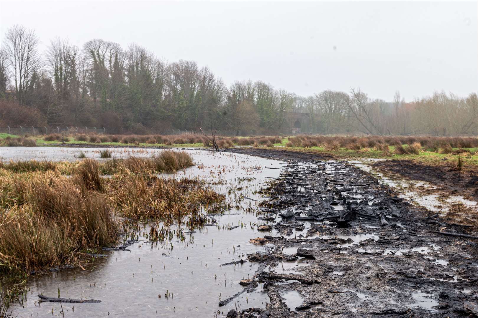 The boardwalk was destroyed by fire despite passing over a very marshy terrain Picture: Sian Pettman (29358643)