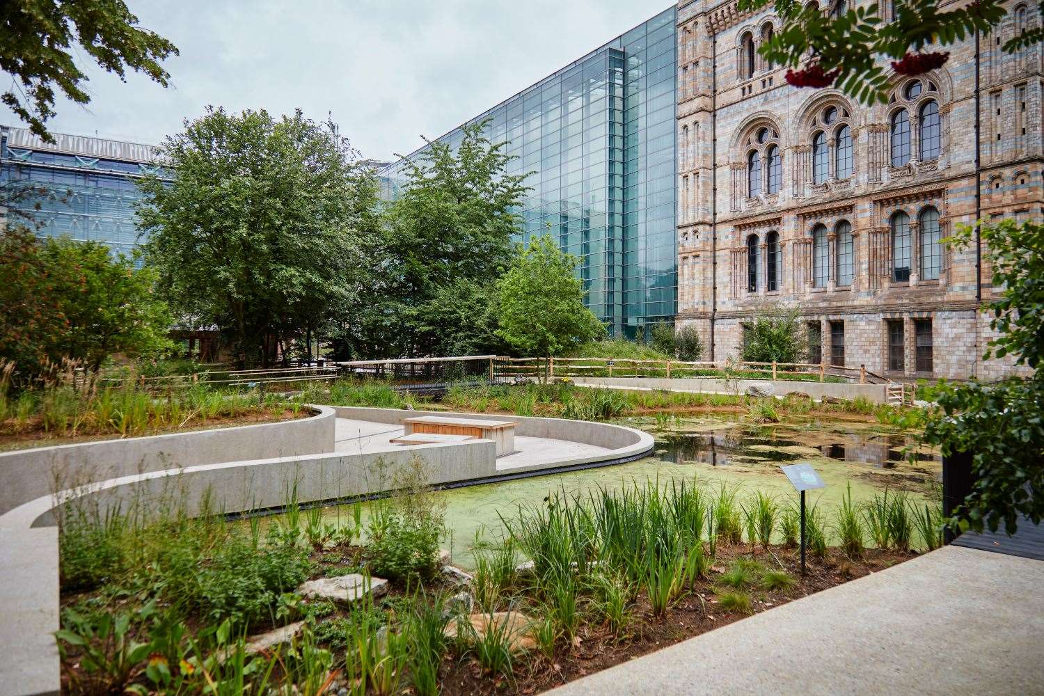 Natural History Museum opens new urban gardens complete with bronze