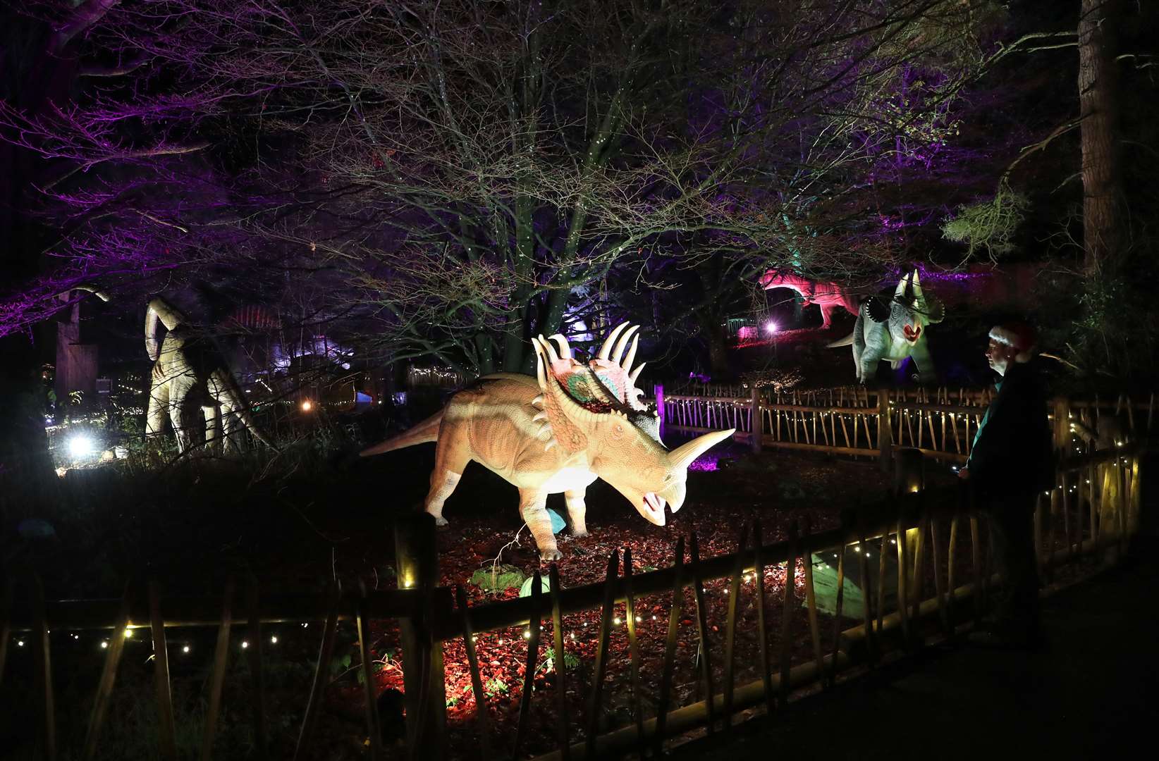 The exhibit is home to more than 20 life-size dinosaurs, which move and roar as visitors pass by (Andrew Milligan/PA)