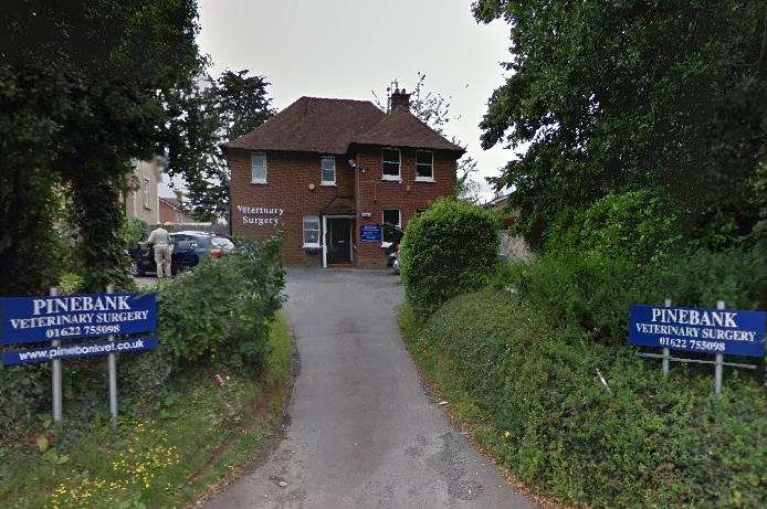 Pinebank Veterinary Surgery. Picture: Google Maps