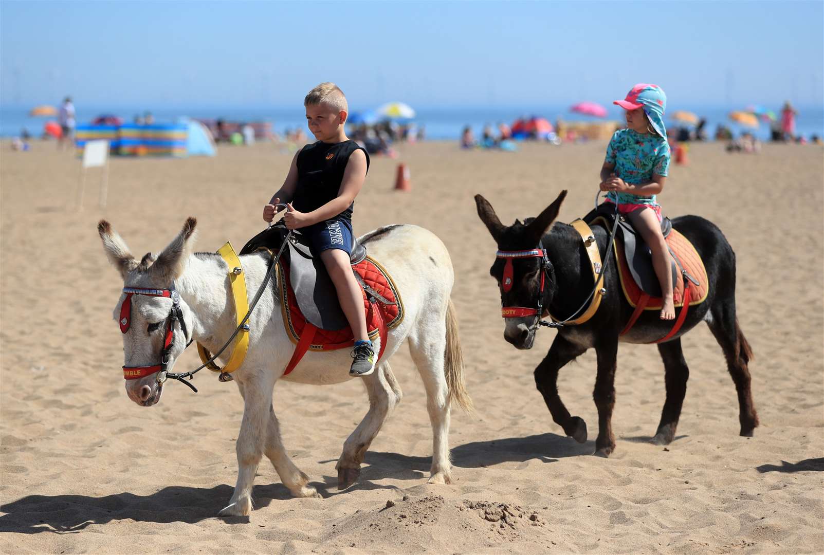 Children enjoy a donkey ride on Skegness beach (Mike Egerton/PA)