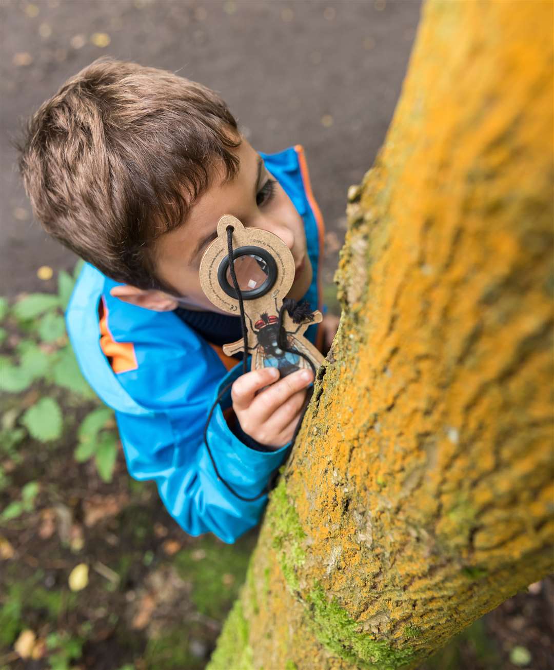 Kids can get out in woodland with the trust Picture: National trust/Paul Harris