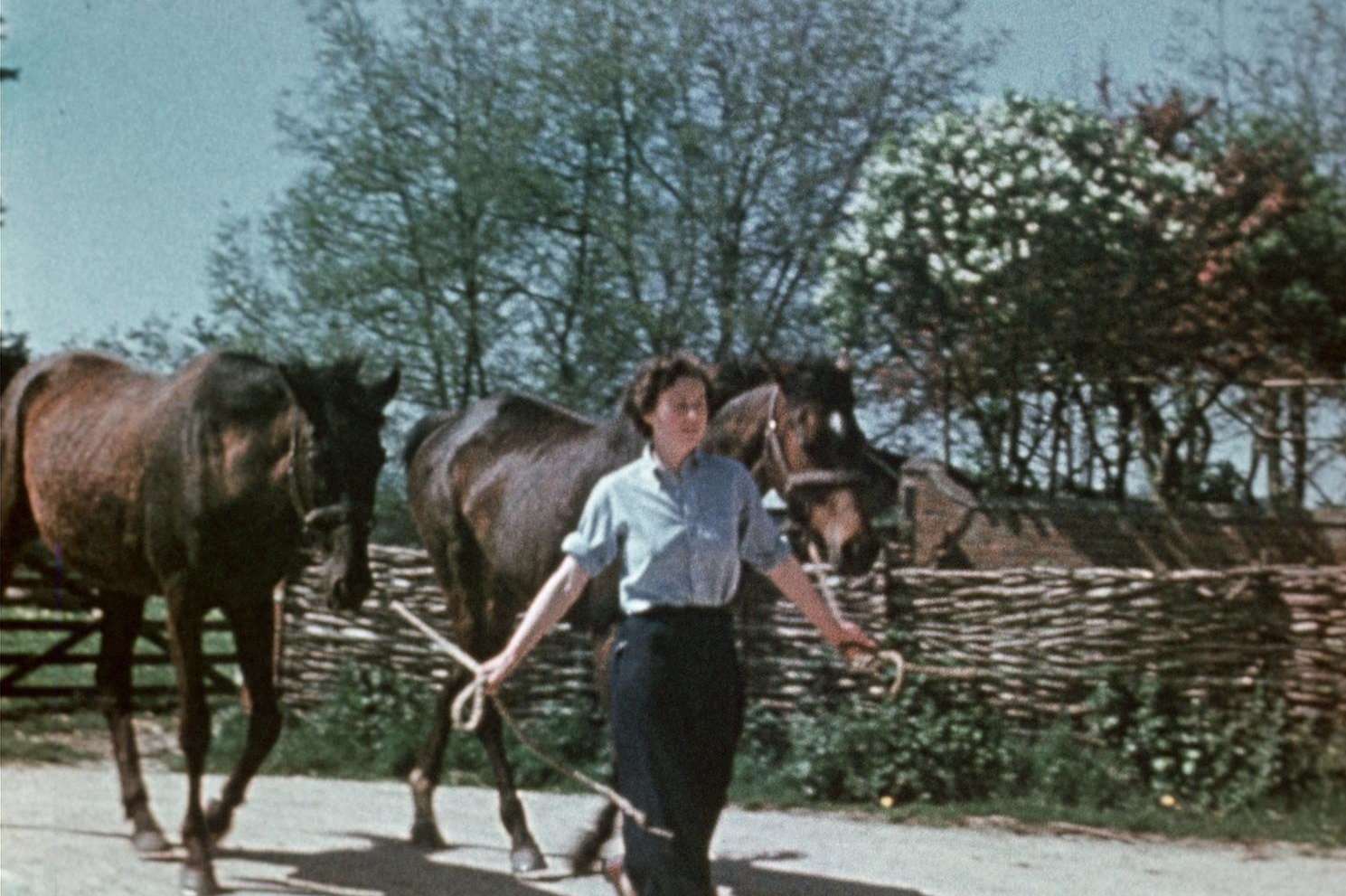 Village Life in 1948. Picture: Picture: Wessex Film and Sound Archive