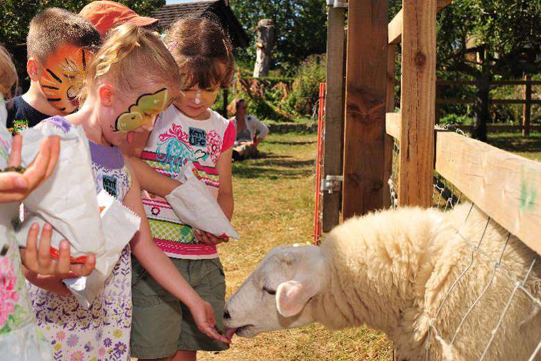 The Sheepstakes come to Kent Life this half term