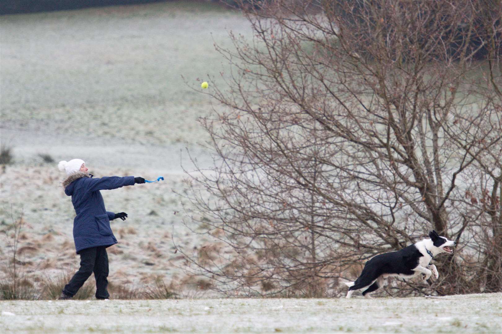 A dog walker throws a ball on a frosty morning at Birmingham’s Cofton Park (Jacob King/PA)