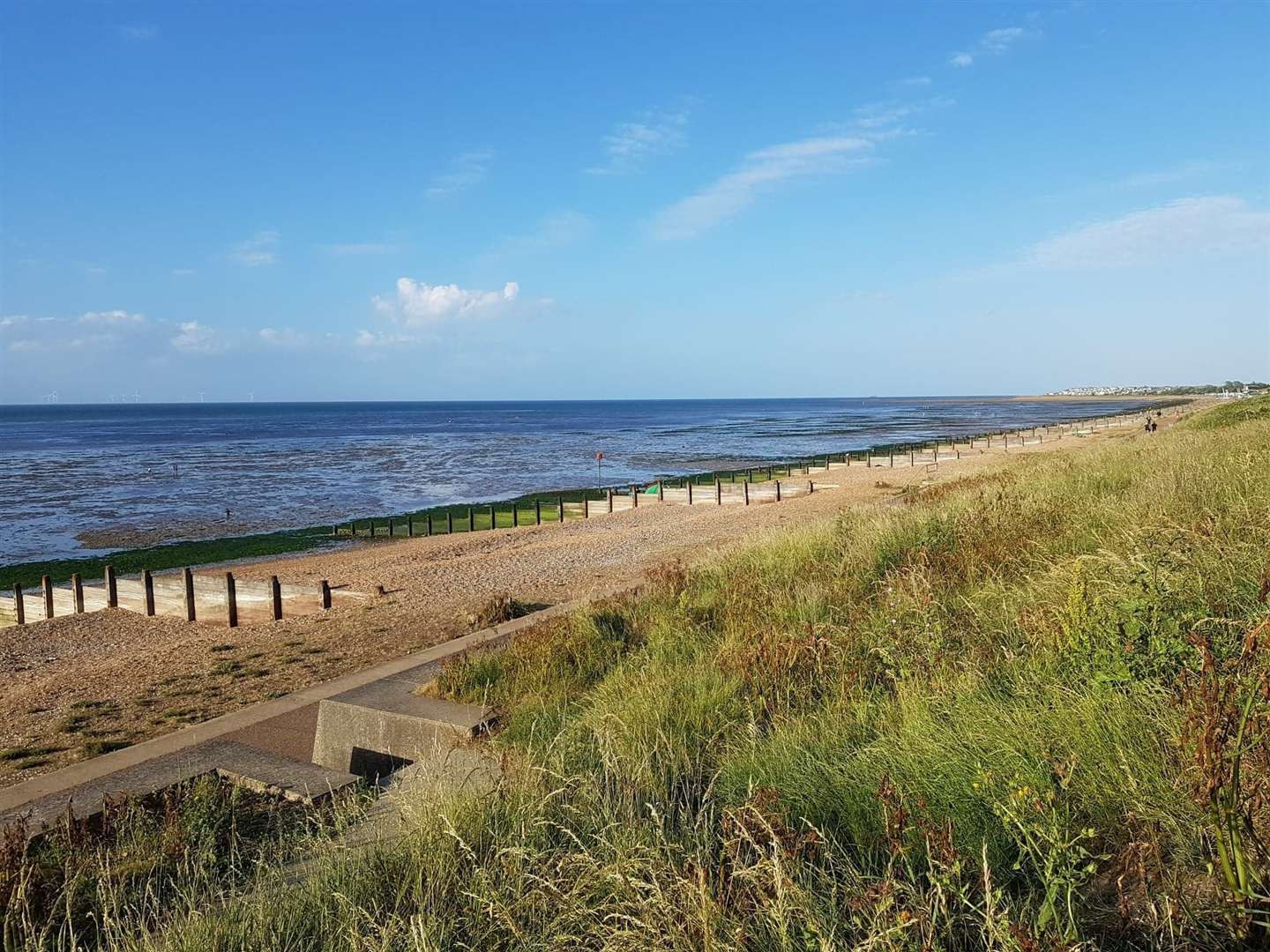 Swimmers had planned to swim across the festive period in Tankerton (pictured) and Whitstable, but had to cancel because of releases