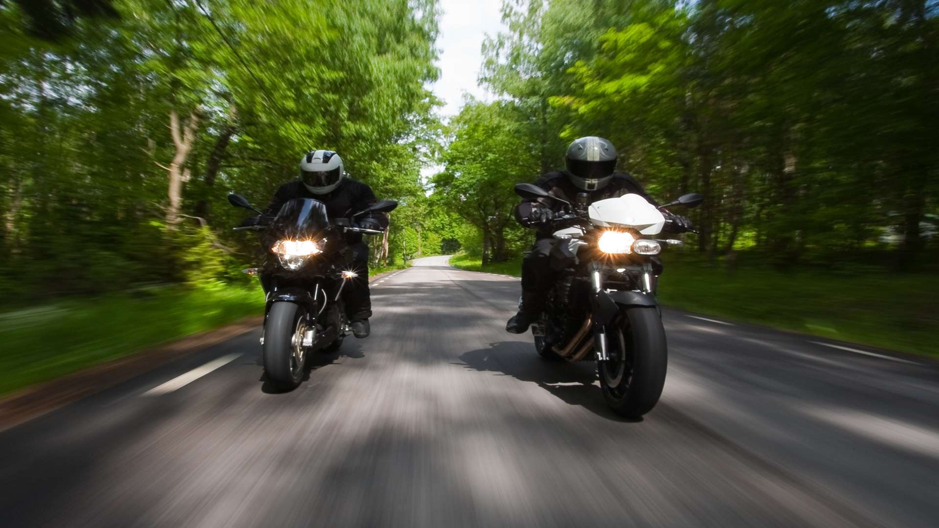 Drunk biker crashed into trees. Stock image.