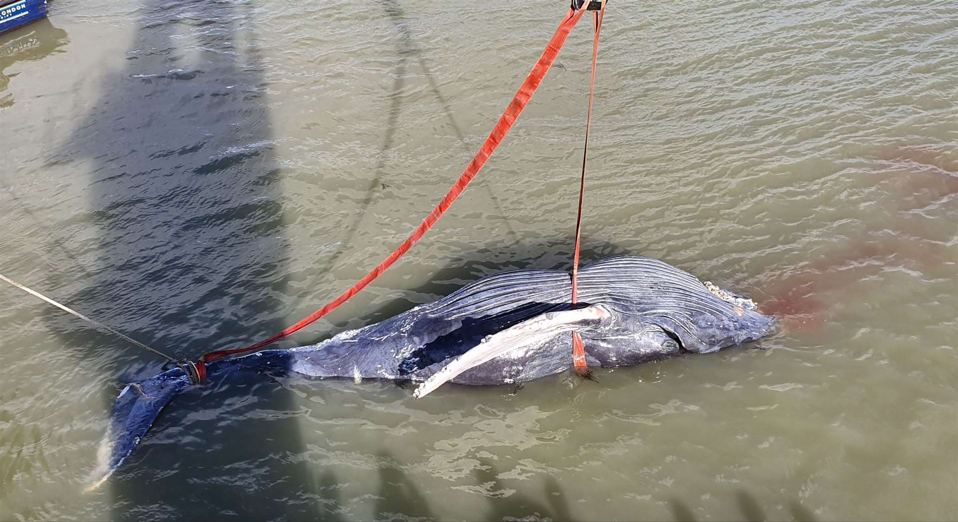 The operation to tow Hessy back to shore took more than three and a half hours. Picture: Steve Potter