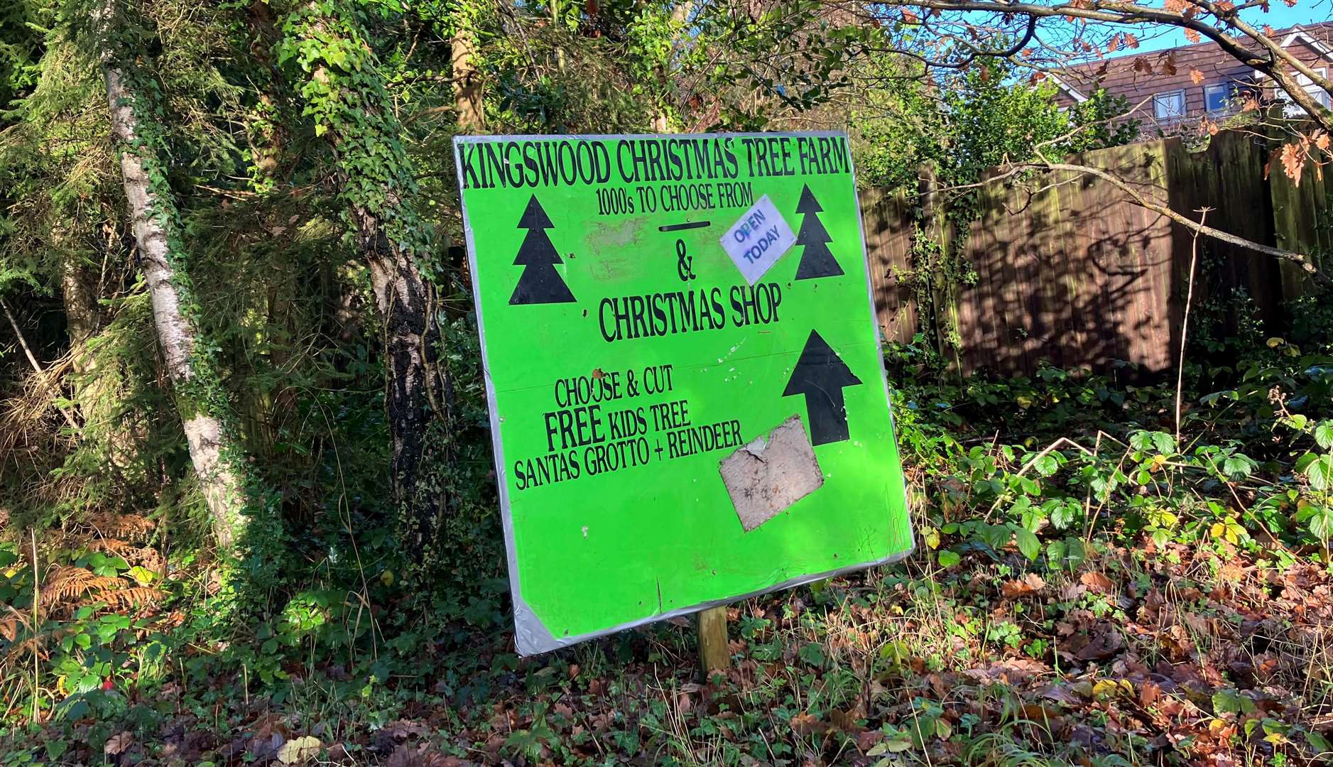 Kingswood Christmas Trees has been going for more than four decades. Picture: Simon Finlay